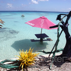 FAKARAVA TAHITI Stoleček v laguně čeká „na prostři se“